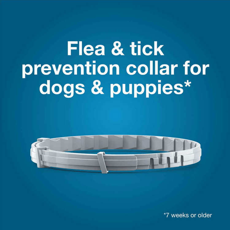 Seresto Flea and Tick Collar for Large Dogs - Calvetsupply