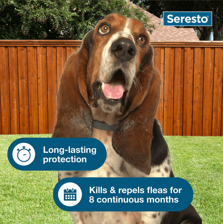 Seresto Flea and Tick Collar for Large Dogs - Calvetsupply