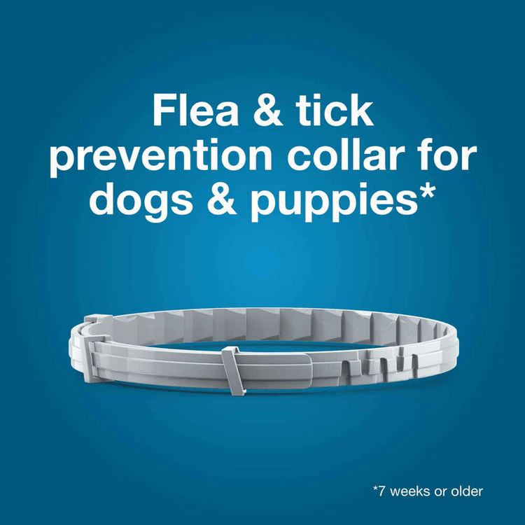 Seresto Flea and Tick Collar for Small Dogs - Calvetsupply