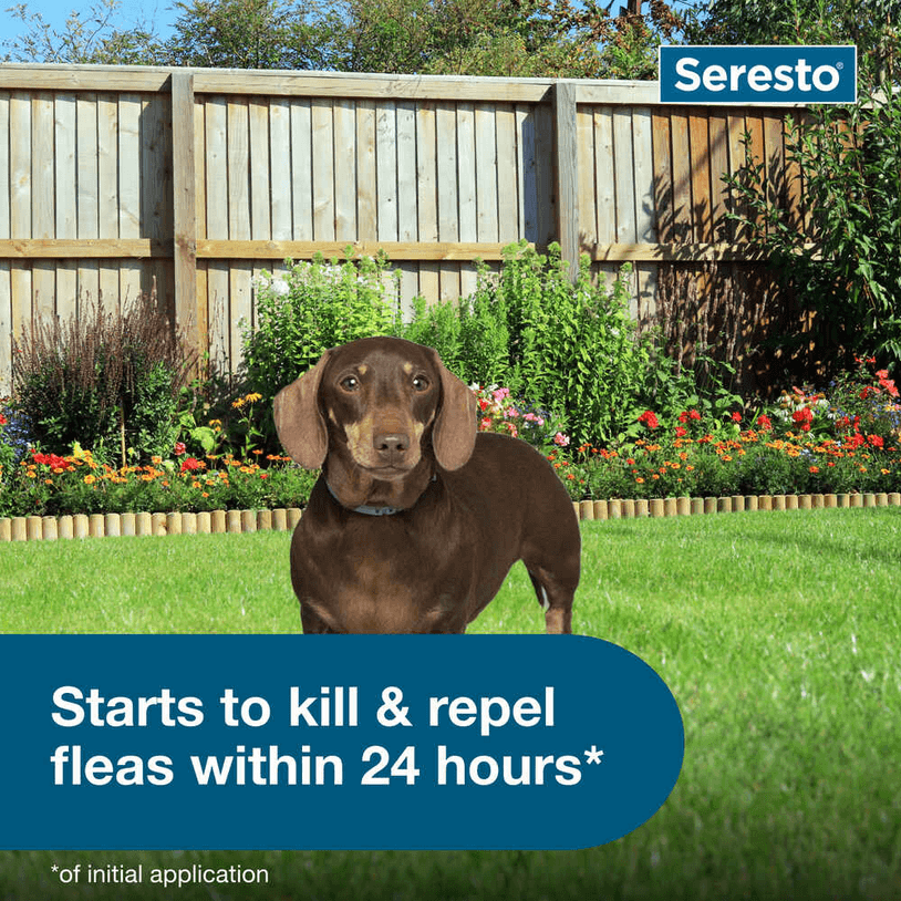 Seresto Flea and Tick Collar for Small Dogs - Calvetsupply