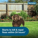 Seresto Flea and Tick Collar for Small Dogs - Calvetsupply