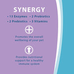 Synacore Digestive Support for Cats (30 Packets) - Calvetsupply